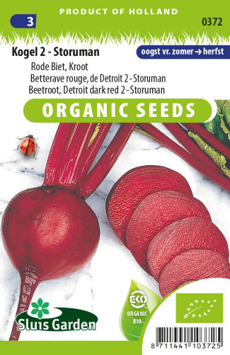 BIO semená cervene repy Storuman. Velká chutná repa s hladkou šupou a krvavo cervenou dužinou.